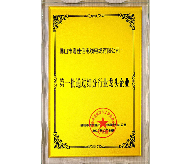第一批通過細分行業龍頭企業